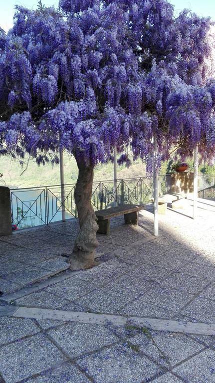 La Casa Di Milady Bed and Breakfast Genzano di Roma Εξωτερικό φωτογραφία